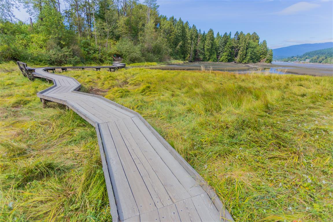 Boardwalk over salt marsh