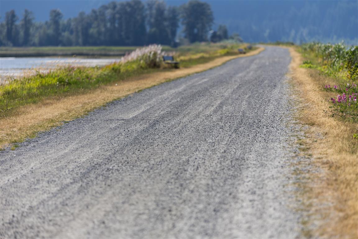 Dyke Path
