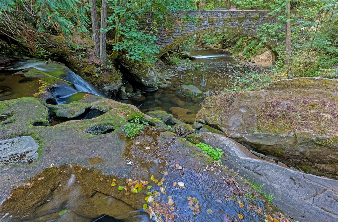Falls and bridge