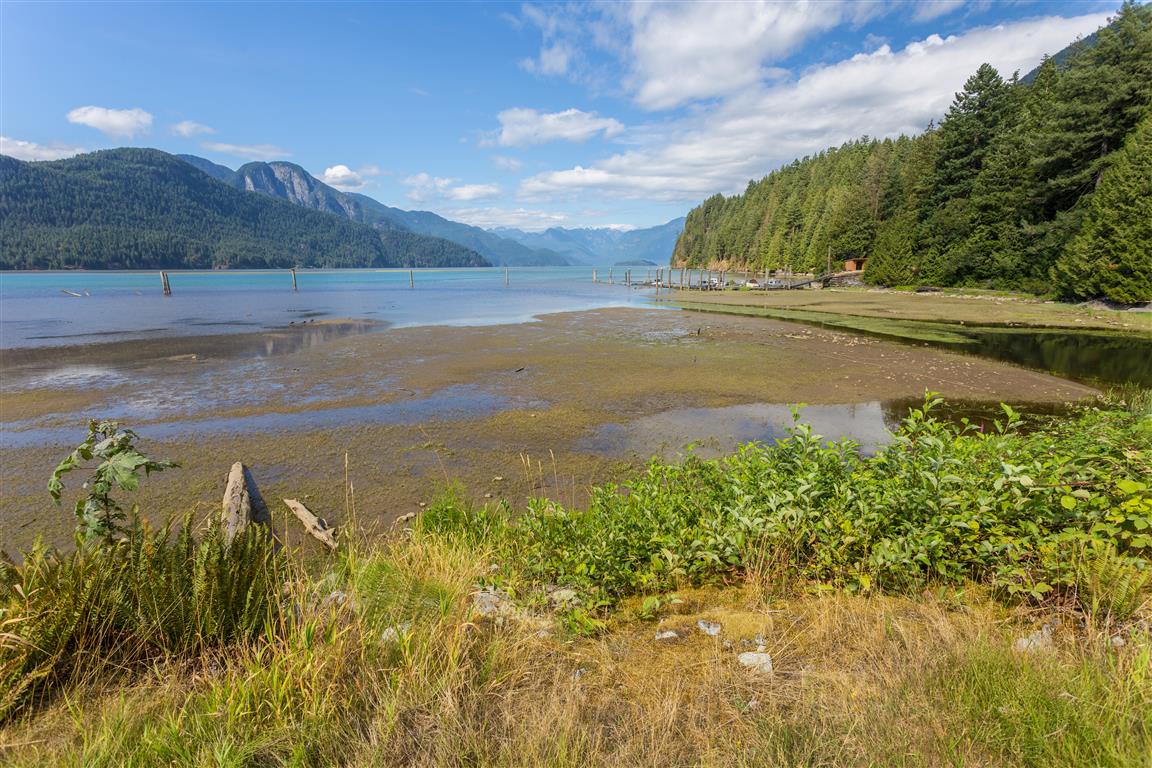 Pitt Lake