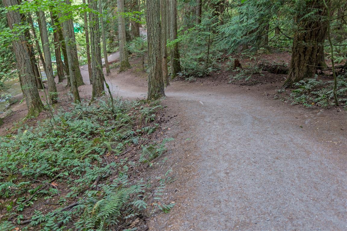 Trail