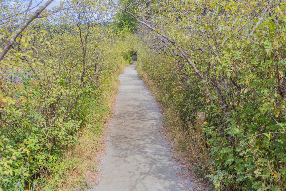 Trail