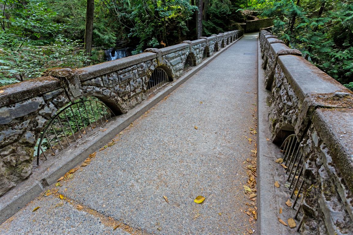 Whatcom Park Falls Bridge
