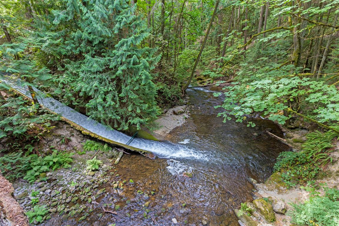Whatcom Park Falls downstream
