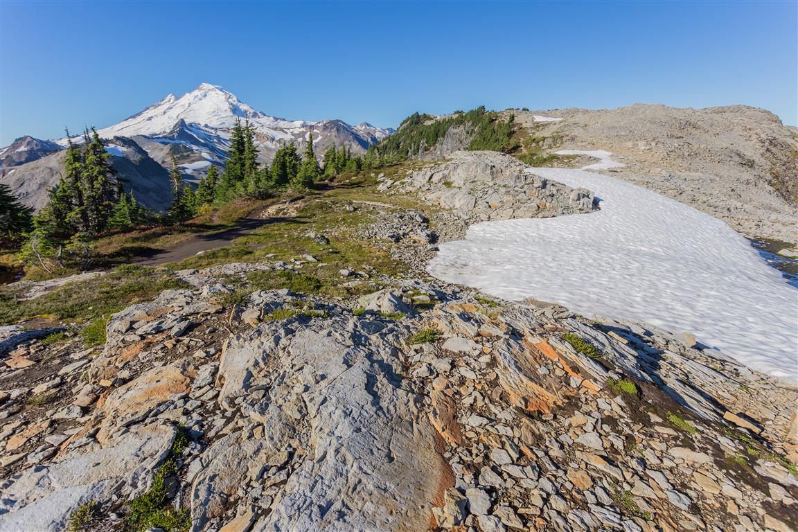 Mt. Baker
