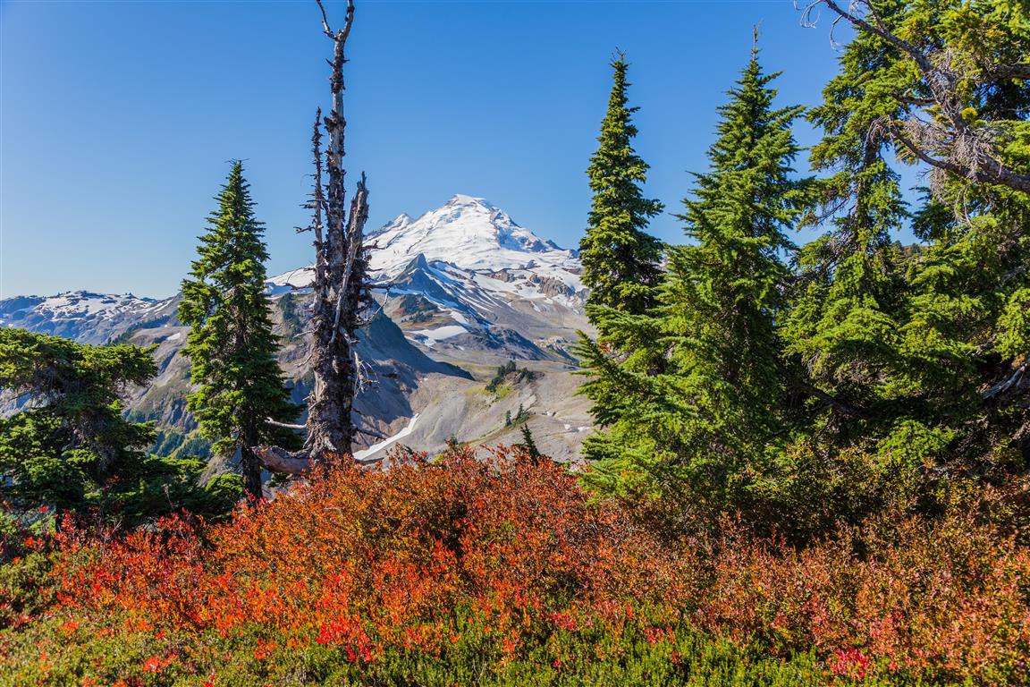 Mt. Baker