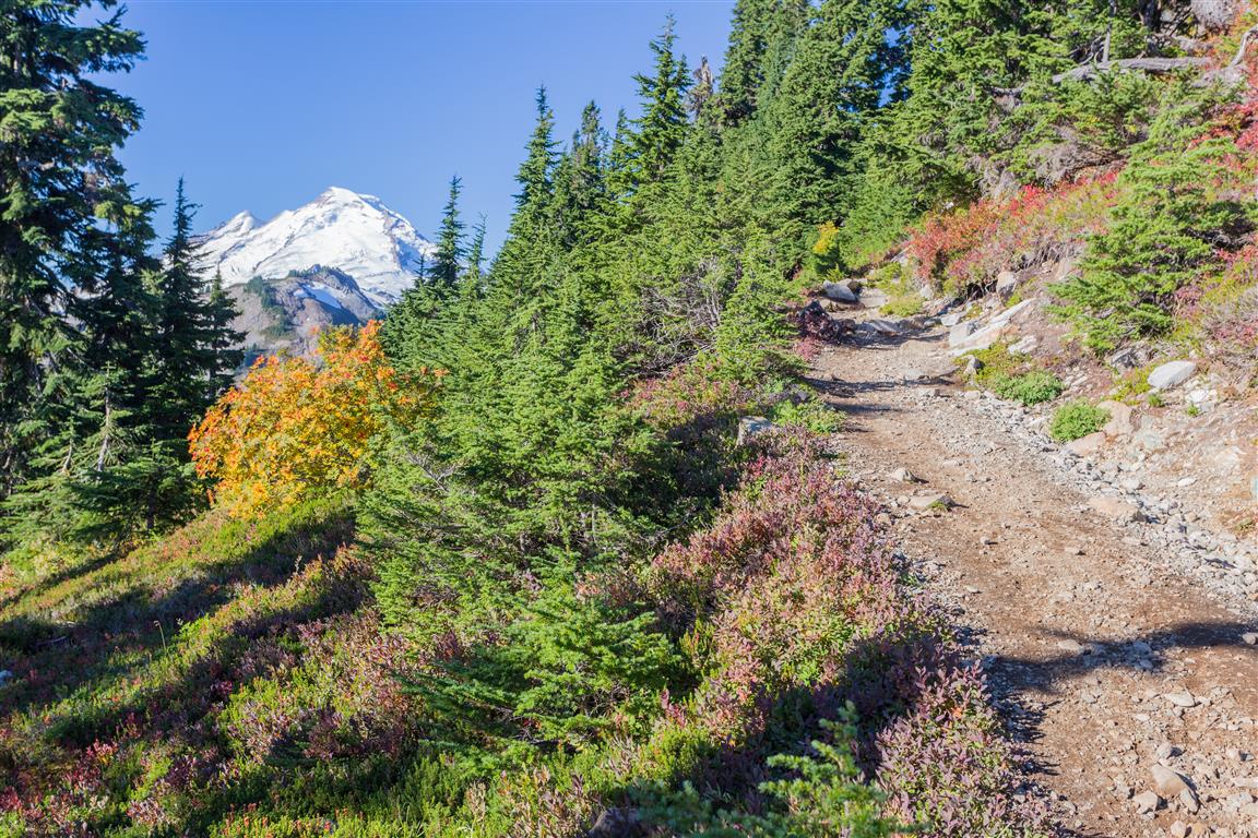 Mt. Baker on trail