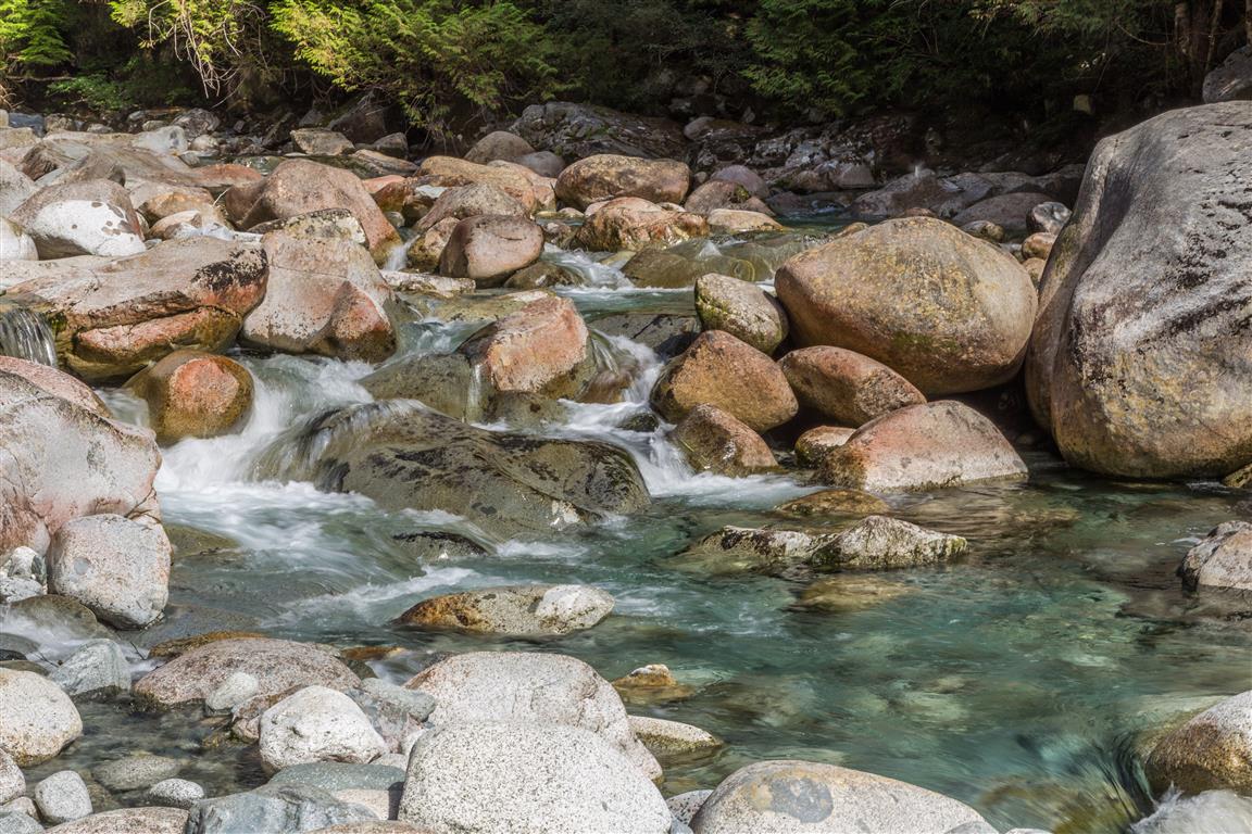 Widgeon Creek