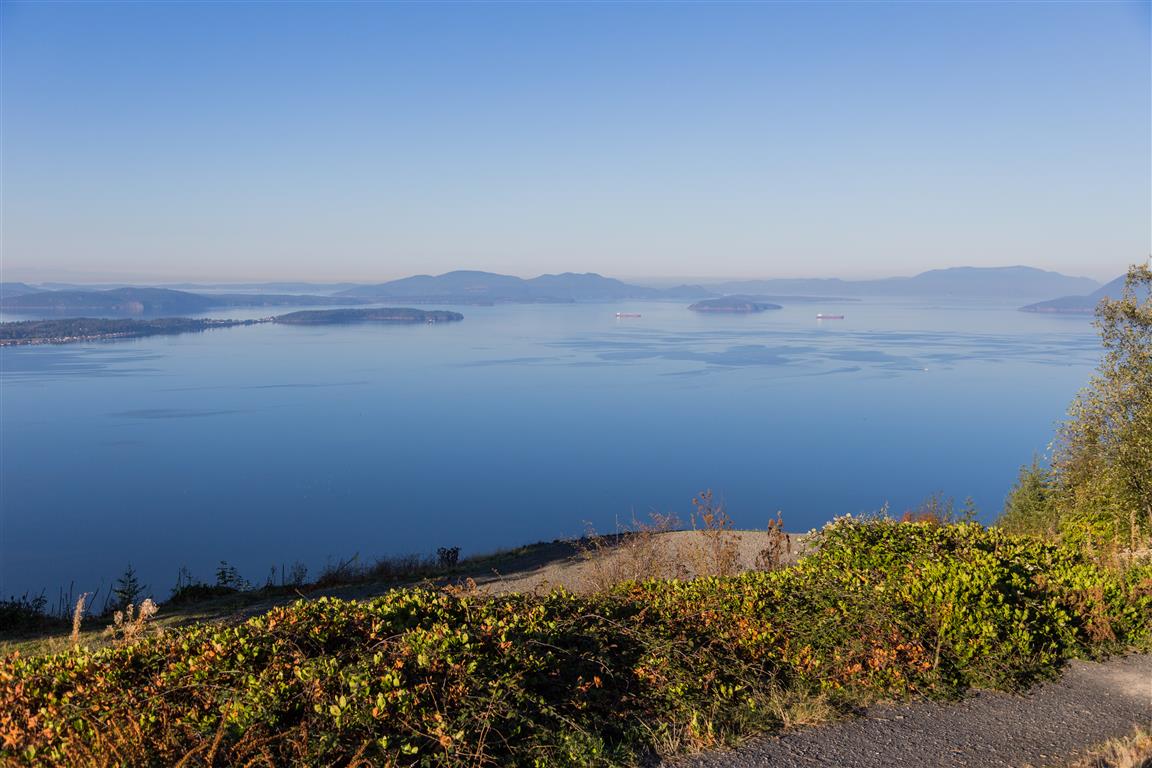 View from Samish Overlook