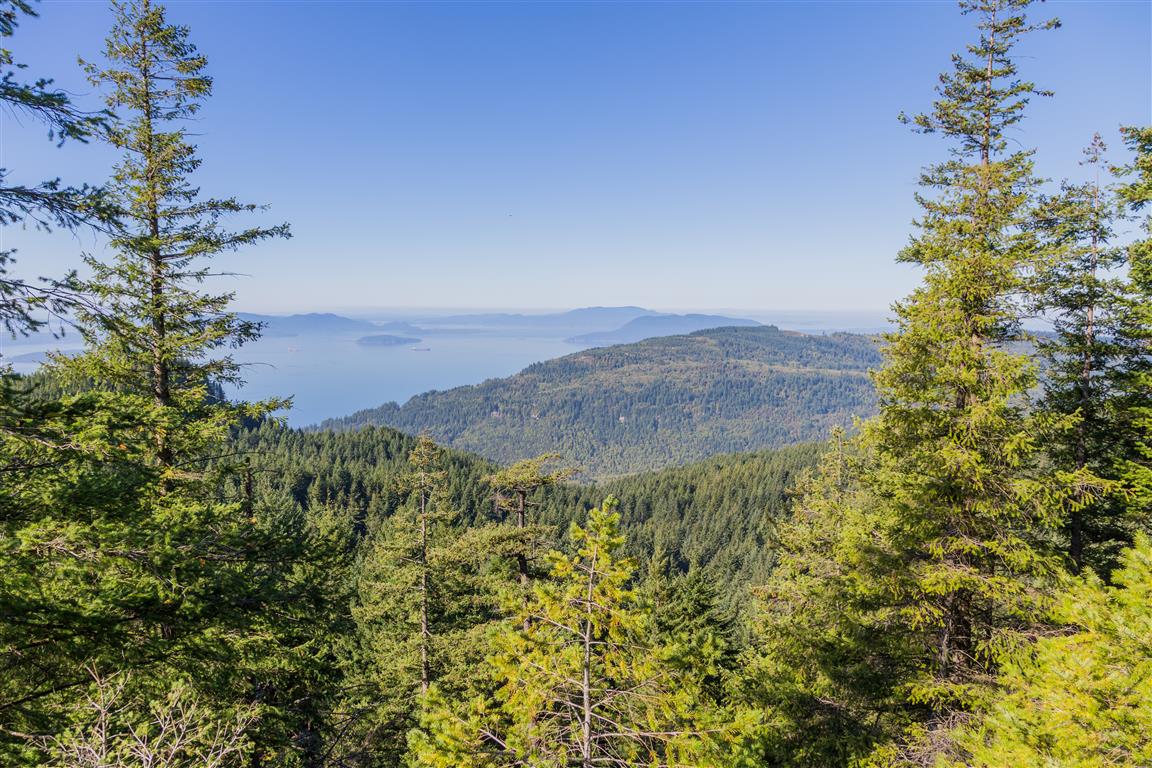 View near North Bluff