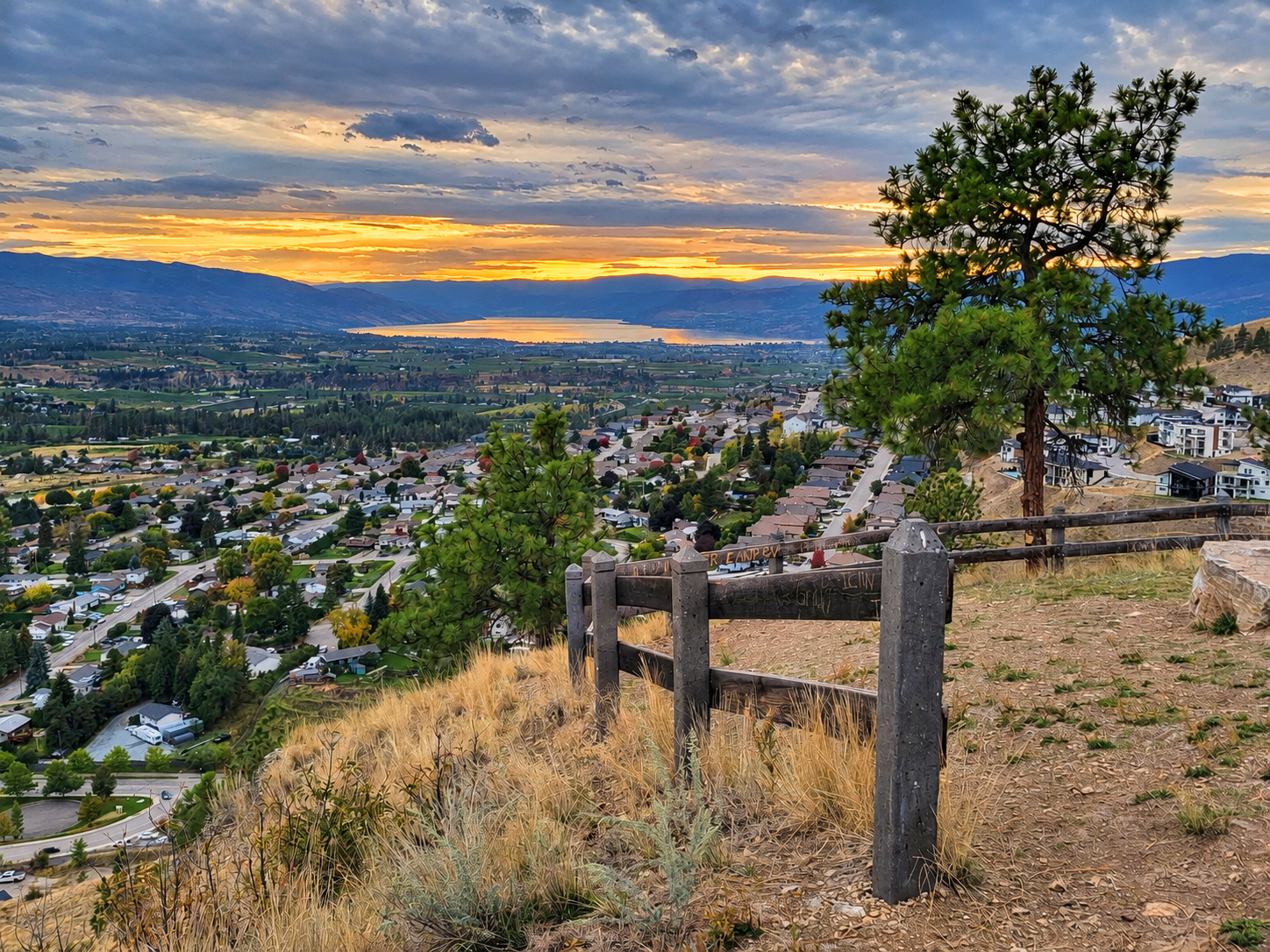 View from the top of Stockley Open Space Trail
