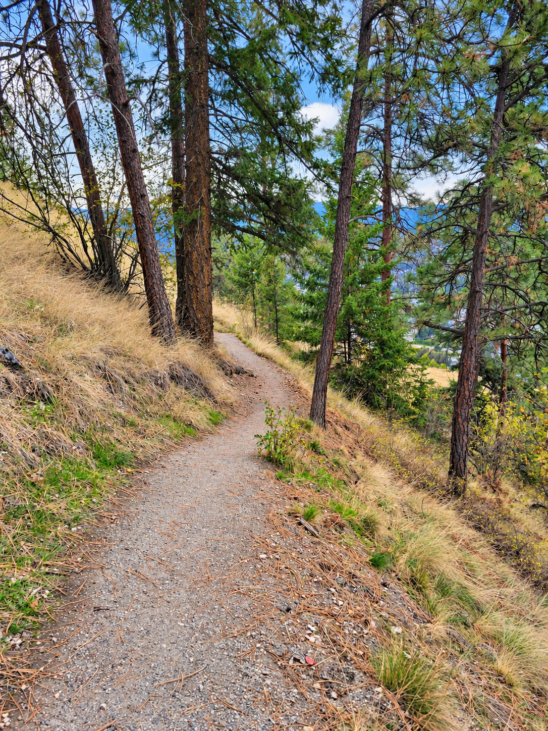 The Stockley Open Space Trail