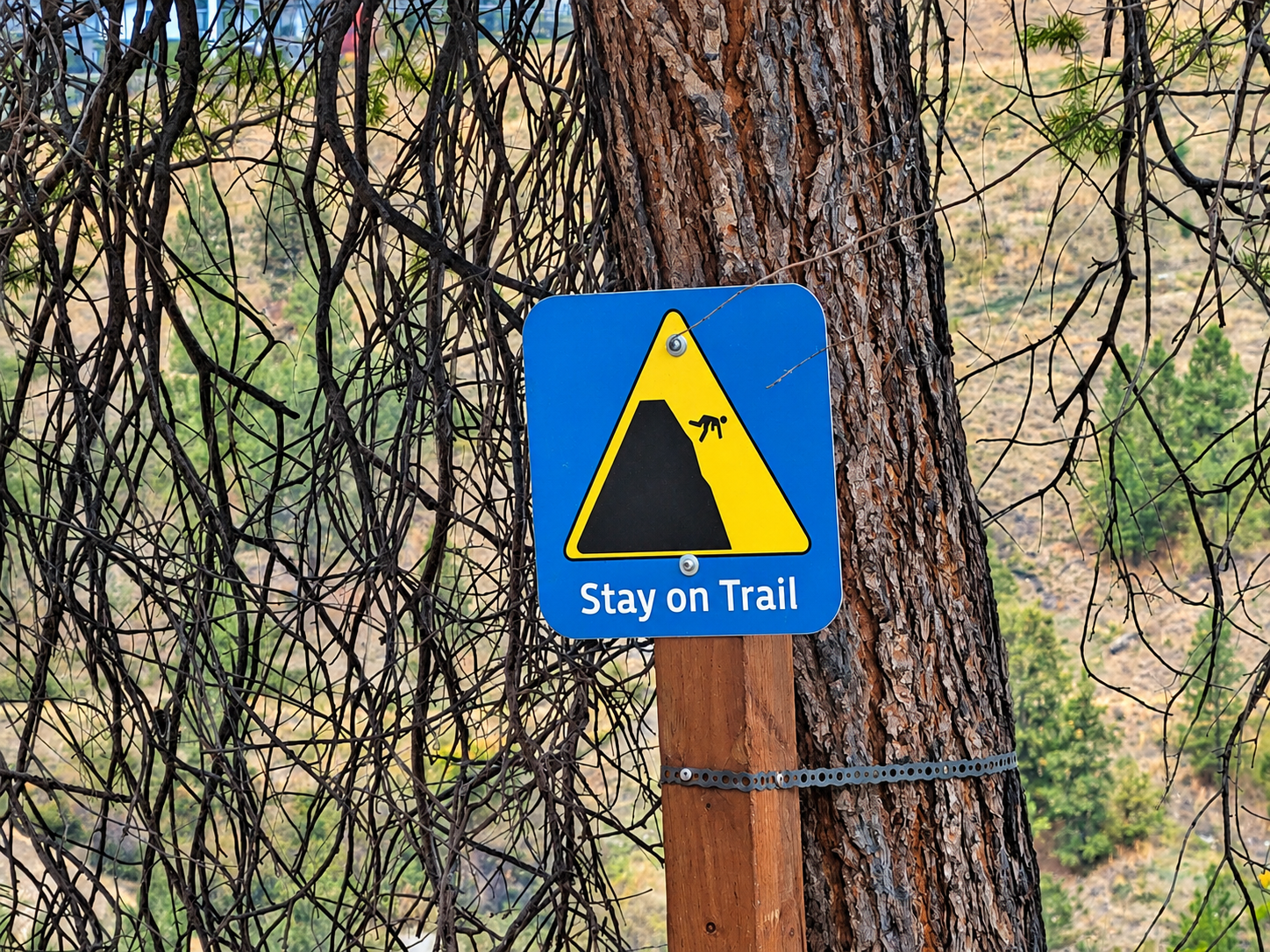 Stay on trail sign