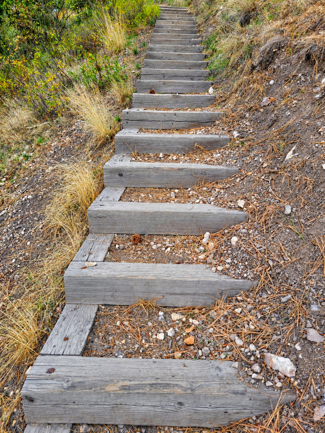 Steps on the trail