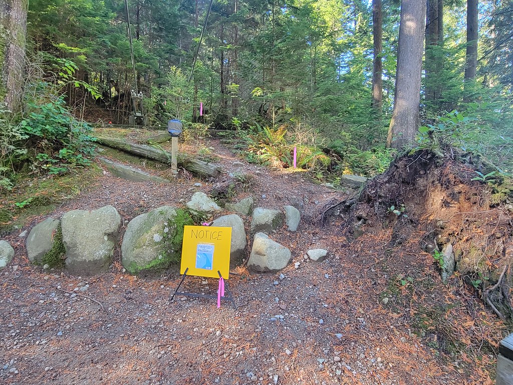 Temporary trail access near the west end of Buntzen Lake suspension bridge