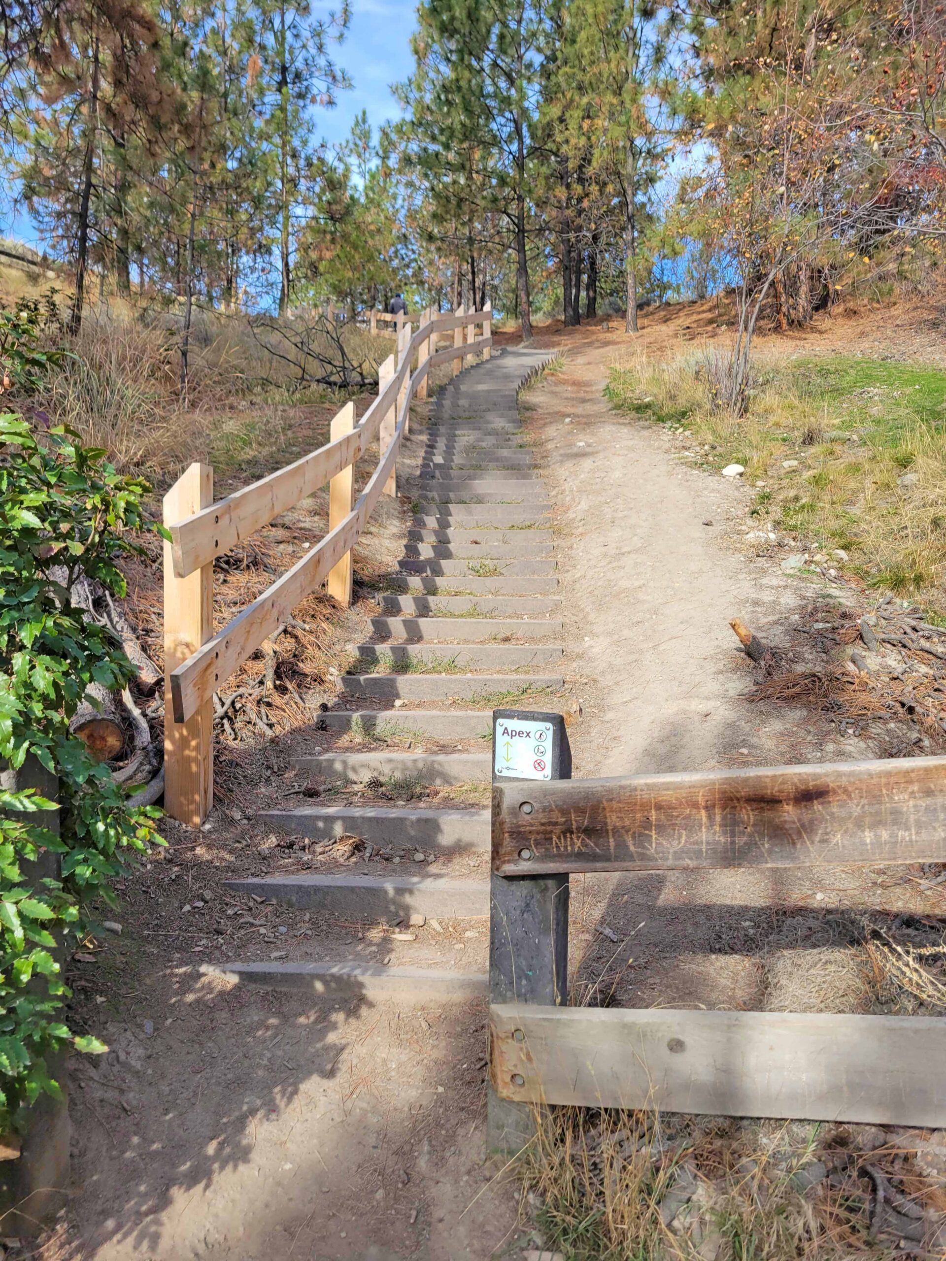 Staircase and wooden fencing on a steep section of Apex Trail at Knox Mountain Park