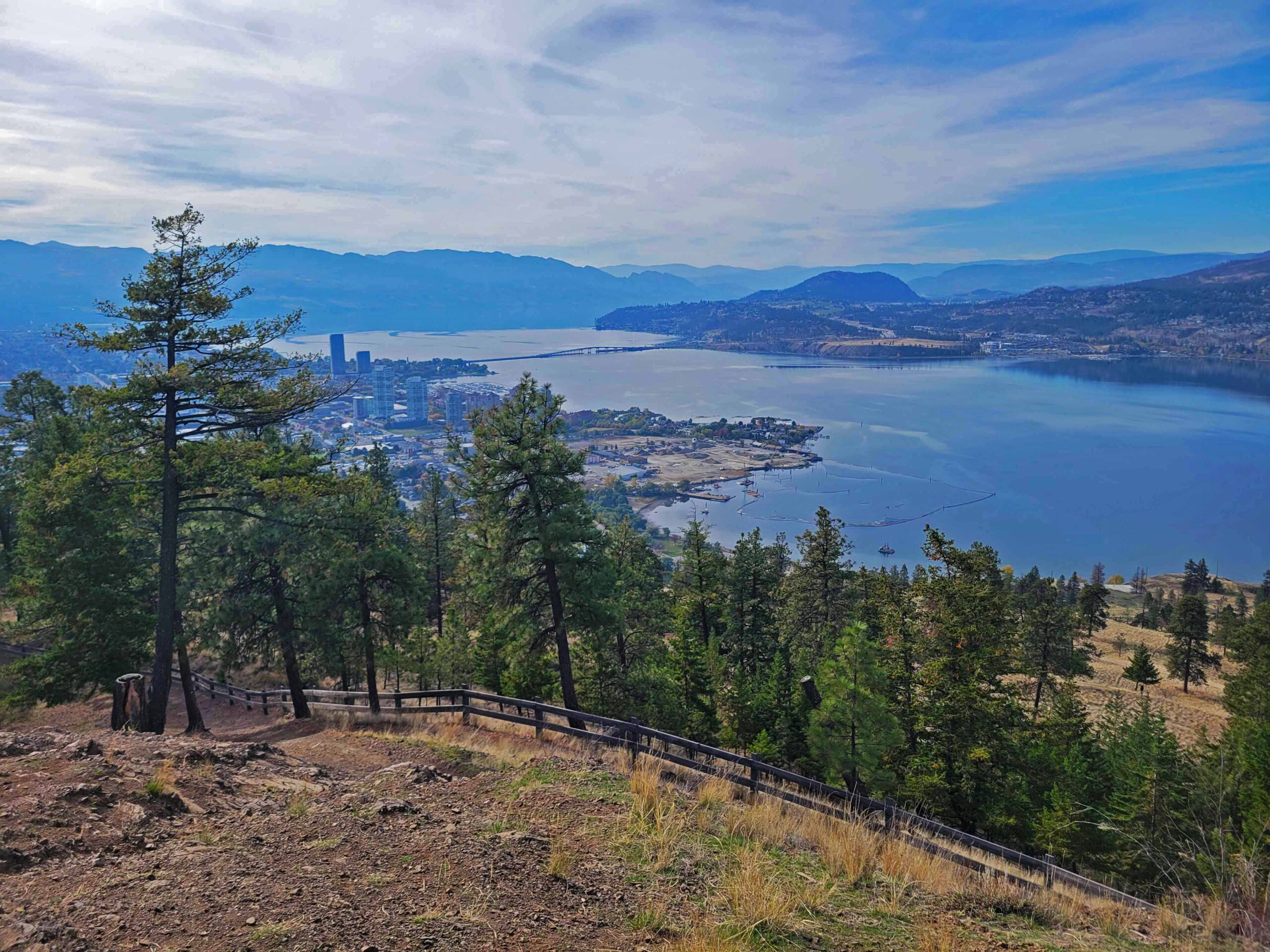 View through ponderosa pine trees from the upper Apex Trail towards downtown Kelowna and Okanagan Lake
