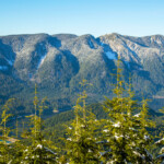 Grouse Grind vs. Polytrichum Grouse Grind vs. Polytrichum viewpoint