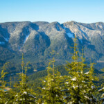 Grouse Grind vs. Polytrichum viewpoint