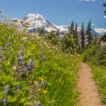 Skyline Divide Trail