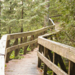 Bridges Bridges of Buntzen Lake