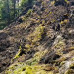 Diez Vistas Fire Diez Vistas Fire