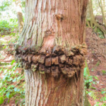 Interesting Nature Interesting Nature