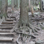 Grouse Grind