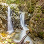 Cypress Falls