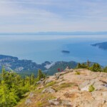 Eagle Bluffs