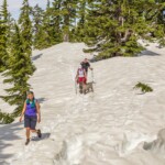 Hollyburn Mountain