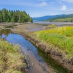 Creek going into Burrard Inlet