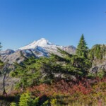 Mt. Baker